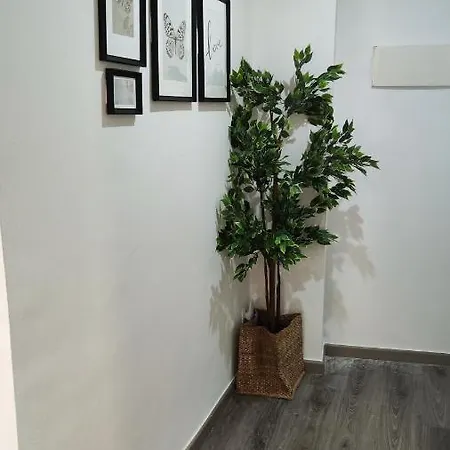 Boutique 2 Ave Centro * Lleida